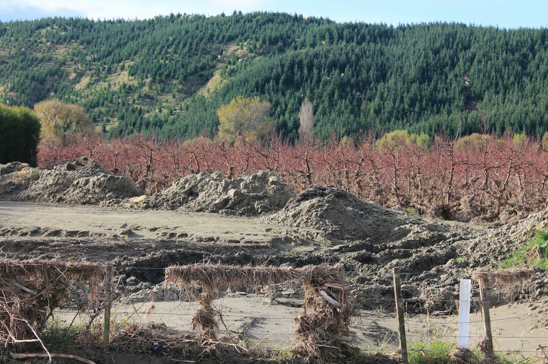 Cyclone Gabrielle’s impacts on NZ’s ecosystems – Expert Reaction